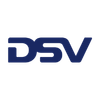 DSv logo