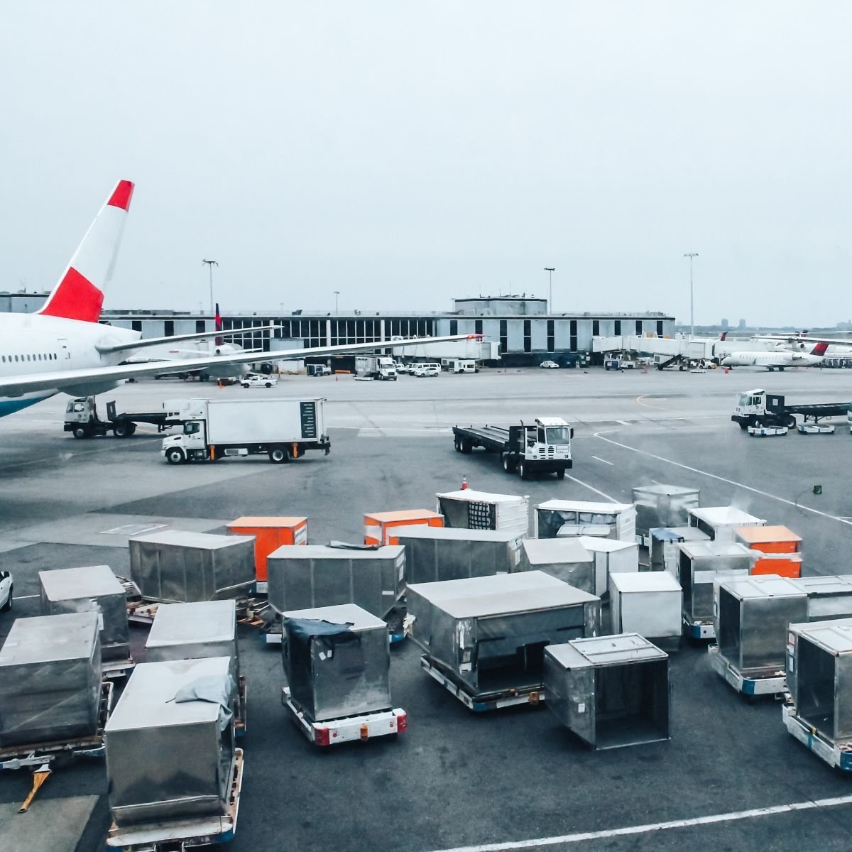 NZR airlines airport imahe-1